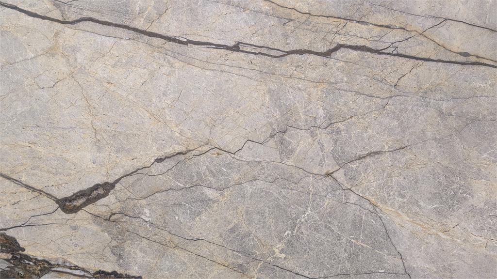 Silver Roots